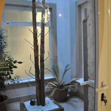 Oisife Apartment *